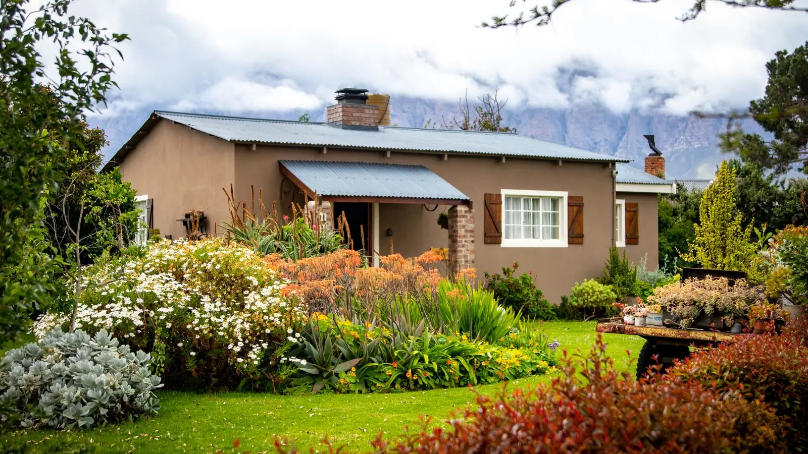 Wilgerbos Guest House, a stone-coloured cottage with a rooftop of corrugated iron, set in a flowering garden below the mountains